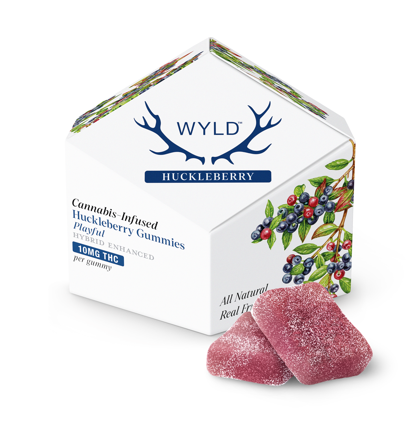 WYLD HUCKLEBERRY