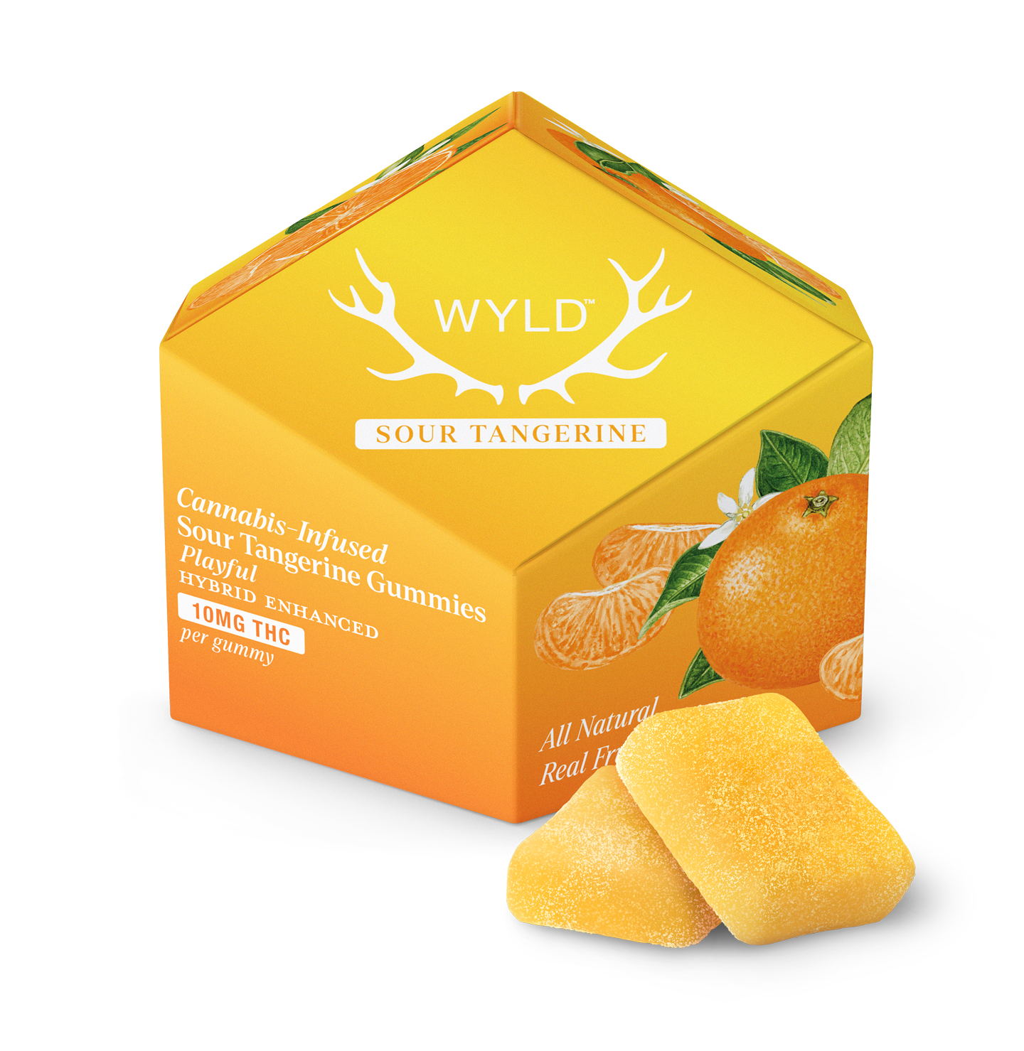 WYLD HEMP D9 GUMMIES 10CT 100MG SOUR TANGIE