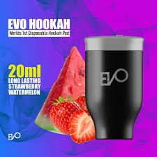 EVO HOOKAH TO GO 3MG/ML STRAWBERRY WATERMELON