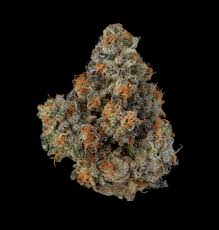 THE GOOD STUFF EXOTIC GELATO 41 SATIVA