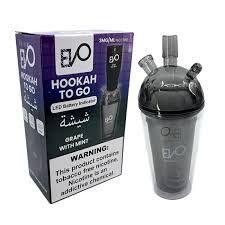 EVO HOOKAH TO GO 3MG/ML GRAPE WITH MINT