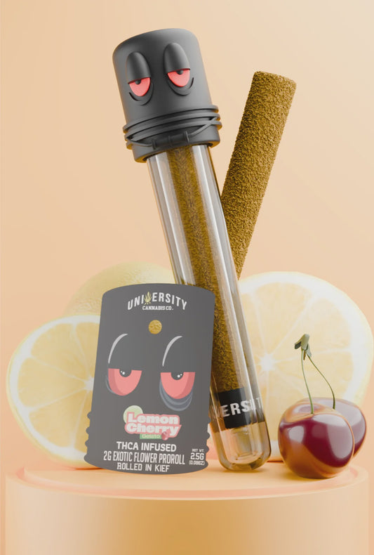 UNIVERSITY FRESHMANS THC-A LEMON CHERRY