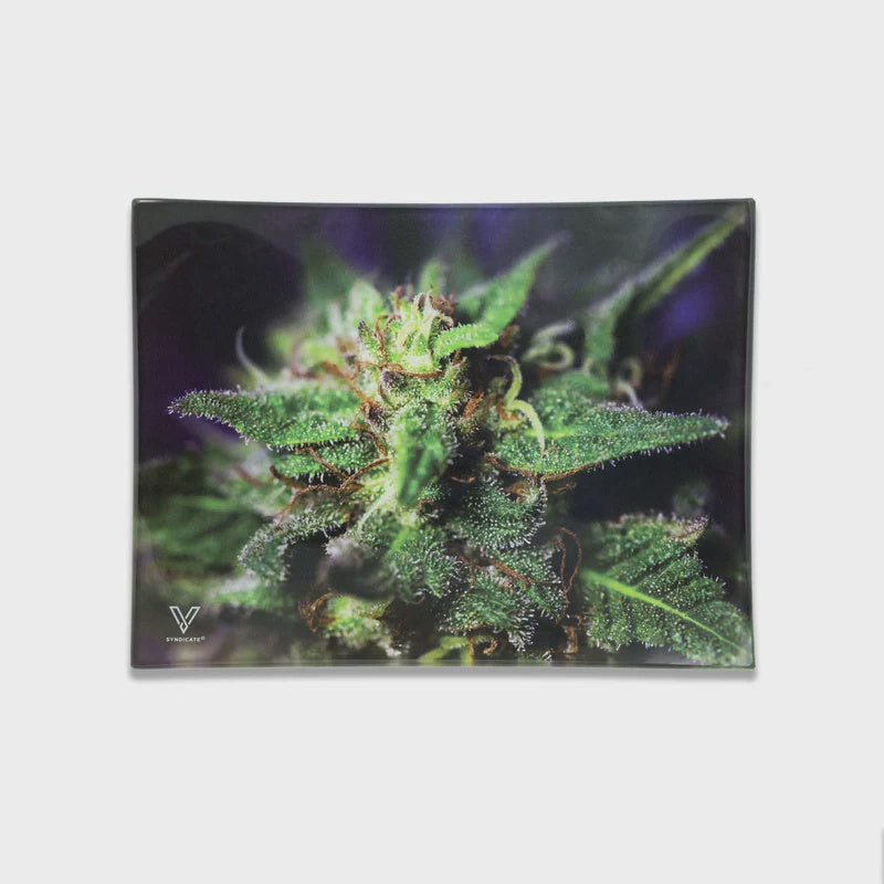 SYNDICATE GLASS TRAY