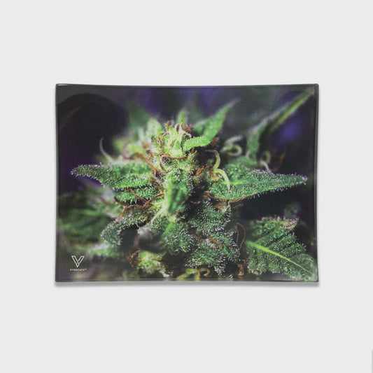 SYNDICATE GLASS TRAY